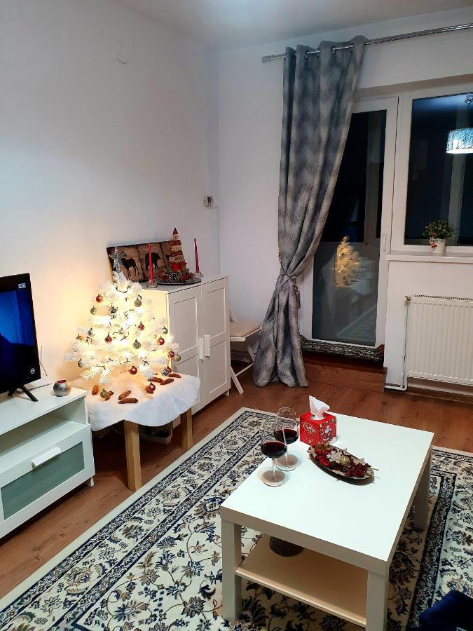 Lidia'S Apartment ซินายา ภายนอก รูปภาพ