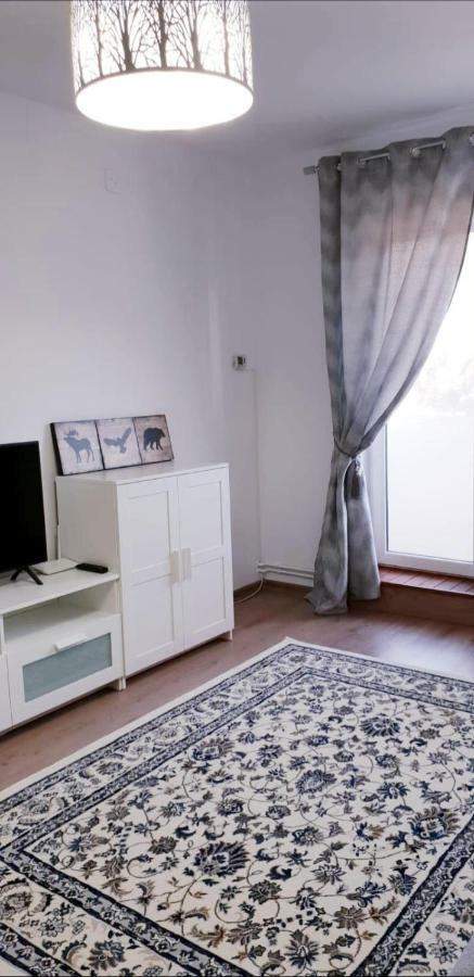 Lidia'S Apartment ซินายา ภายนอก รูปภาพ