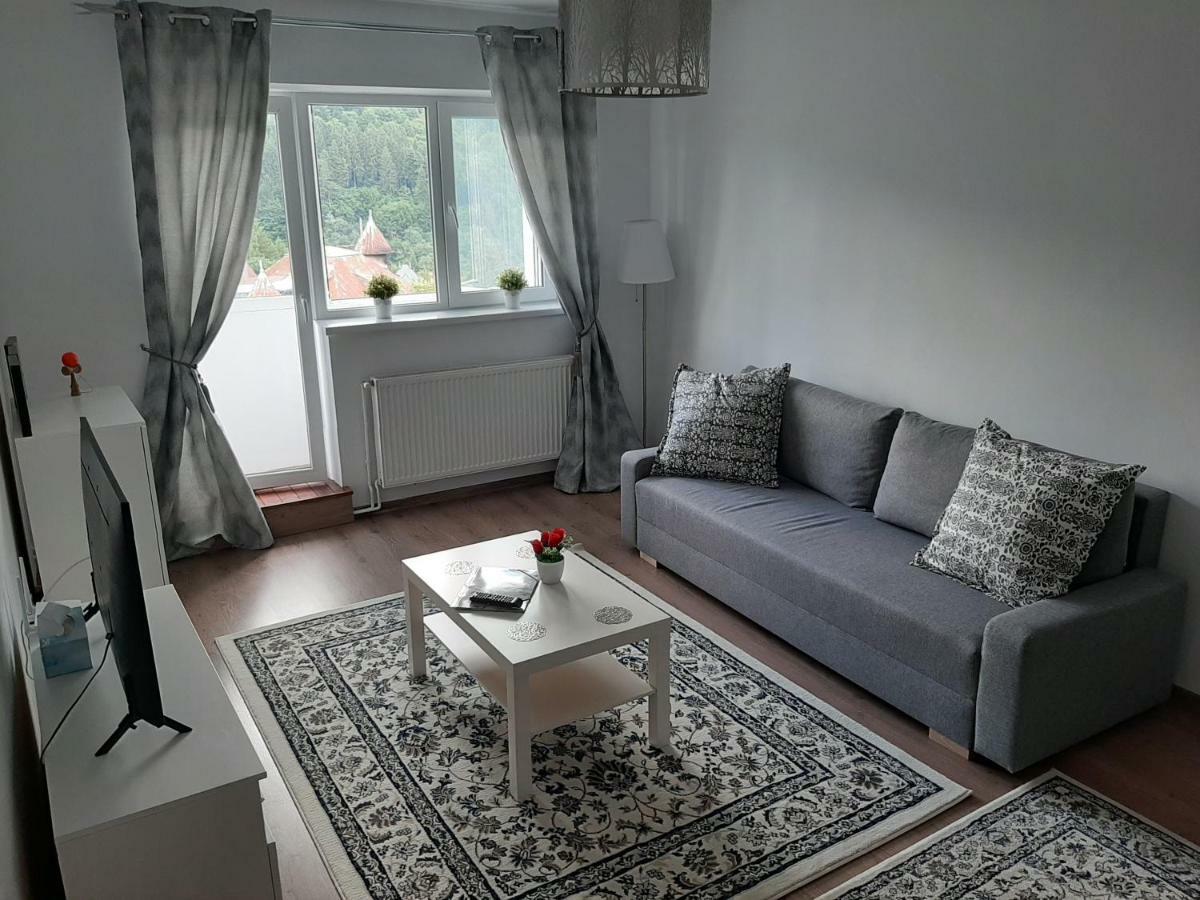 Lidia'S Apartment ซินายา ภายนอก รูปภาพ
