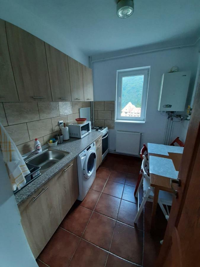 Lidia'S Apartment ซินายา ภายนอก รูปภาพ